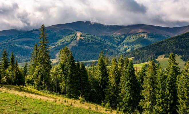 Mmap Ghidul De Finan Are Pentru Programul Na Ional Rangerii Juniori