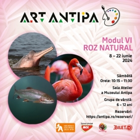 Ateliere Art Antipa 2024 – Roz natural
