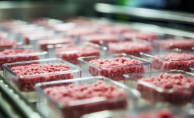 Primul tip de carne artificială aprobat în Europa este destinat să fie consumat de animalele de companie