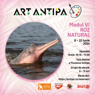 Ateliere Art Antipa 2024