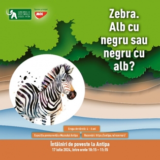 Întâlniri de poveste la Antipa | Zebra. Alb cu negru sau negru cu alb?