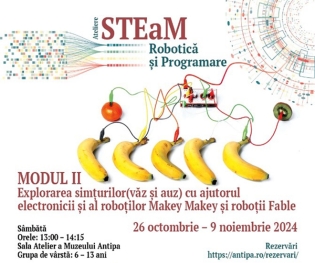 Ateliere de Robotică și Programare în abordare STEaM | Explorarea simțurilor (văz și auz) cu ajutorul electronicii și al roboților Makey Makey și roboții Fable