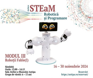 Ateliere de Robotică și Programare în abordare STEaM | Roboții Fable