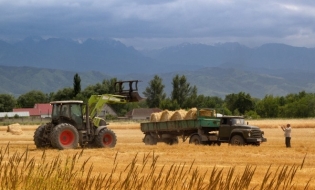 APIA: 31 decembrie, termen-limită pentru depunerea cererilor de finanțare pentru motorina utilizată în agricultură, pentru 2025