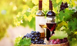 OIV: România a avut o producţie de vin de 4,9 milioane hectolitri în 2019