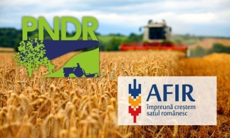 AFIR: Consultare publică a Ghidului privind finanţarea tinerilor fermieri prin PNDR 2020