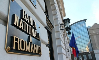 Rezervele valutare administrate de BNR, 39,008 miliarde euro la 31 iulie