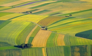 Adrian Chesnoiu: Am solicitat Comisiei Europene să reconsidere ideea ca 4% din suprafața agricolă a unui stat-membru să rămână necultivată