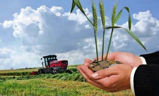 MAT a început procedura de plată în cadrul programului IMM-AGRI FOOD