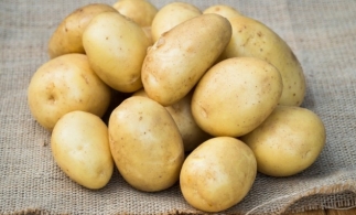 MADR: România are pentru prima dată un stand național la Târgul Internațional Potato Europe