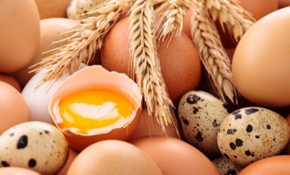 CE va introduce tarife vamale pentru ouăle importate din Ucraina