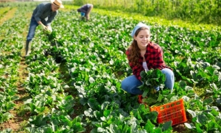 Fermierii din UE pot beneficia de plăți mai mari în avans, în cadrul Politicii Agricole Comune