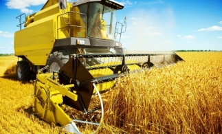 A fost actualizat Registrul Agricol pentru perioada 2025 – 2029