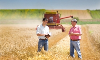 CRPE: Cooperativele agricole din România și-au dublat cifra de afaceri, în ultimii ani