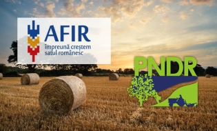 AFIR: Beneficiarii PNDR 2020 nu trebuie să mai prezinte Cazierul Fiscal la depunerea cererilor de finanțare