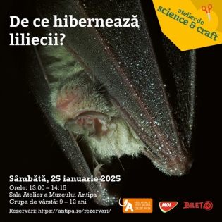 Sâmbătă, 25 ianuarie, atelier de science & craft la Muzeul Antipa – „De ce hibernează liliecii?”