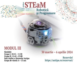 Ateliere STEaM de Robotică și Programare