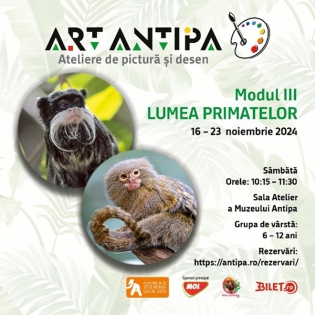 Ateliere Art Antipa | Lumea primatelor – Marmosetul pigmeu