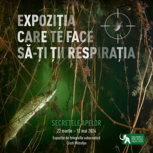 Vineri, 22 martie, deschiderea expoziției temporare de fotografie subacvatică „Secretele apelor” la Muzeul Antipa