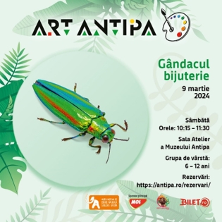 Sâmbăta, între orele 10:15 – 11:30, Ateliere de desen și pictură Art Antipa