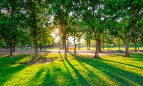 Parcul de Aventură din Galați va avea două trasee de bob suspendat unice în țară