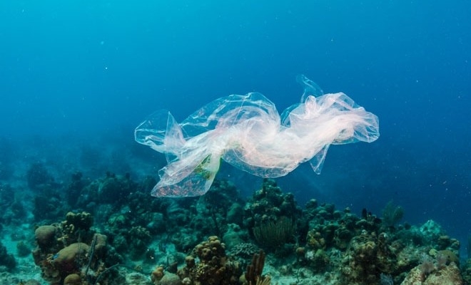 Cantitatea de plastic din apele globale s-ar putea dubla până în 2060