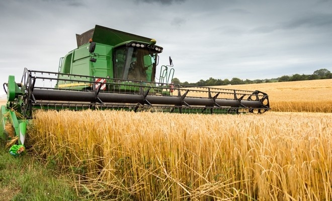 Pachet de măsuri pentru sprijinirea agriculturii și industriei alimentare discutat de miniștrii Finanțelor și Agriculturii