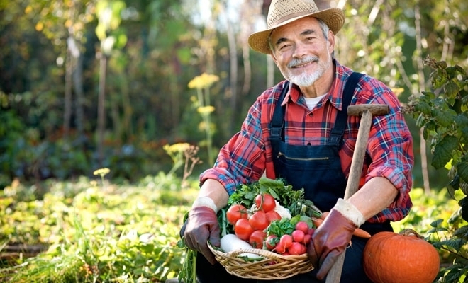 Ministrul Agriculturii: 40% din fermele din România sunt gospodăriile bunicilor, care nu vor rezista pe piaţă dacă nu se asociază