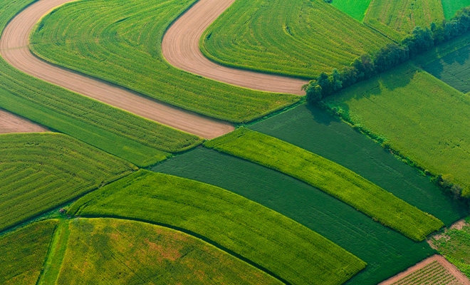 Adrian Oros: Avem 1,6 milioane hectare de culturi agricole calamitate de secetă