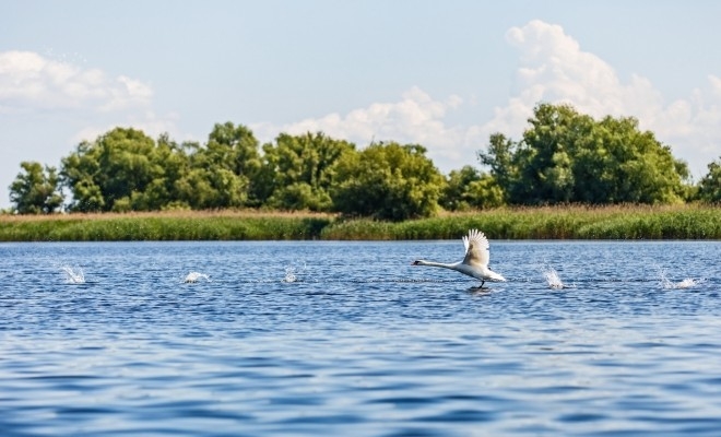 Ministrul Mediului a lansat proiectul „Eco-monografii”, dedicat unor comunități din Deltă