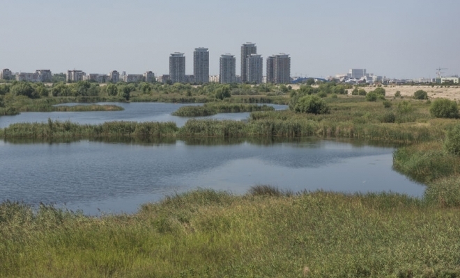 Ministerul Mediului a finalizat Regulamentul Parcului Natural Văcăreşti