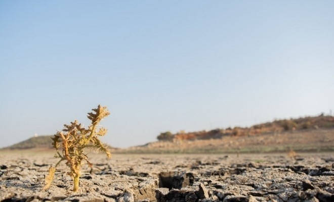 Noi măsuri de sprijin cu caracter temporar destinate producătorilor agricoli în scopul gestionării efectelor fenomenului de secetă pedologică din anul 2023