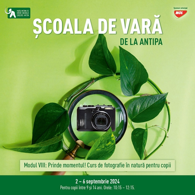 Școala de Vară la Antipa | „Prinde momentul! Curs de fotografie în natură pentru copii”