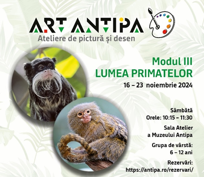 Ateliere Art Antipa – Lumea primatelor