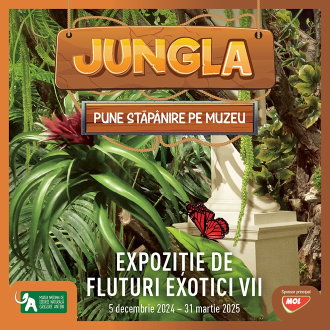 Expoziție de fluturi exotici vii la Muzeul Antipa