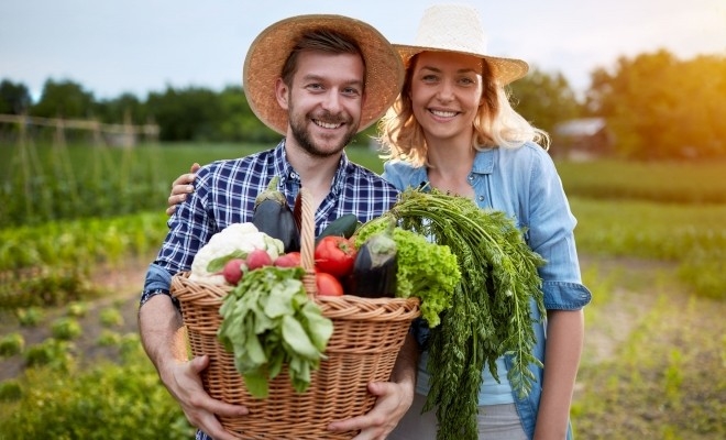 Aproape 12% dintre persoanele ocupate lucrau în ramurile agricole, în 2023