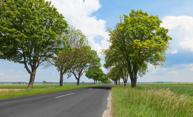 AFIR a finanțat cu fonduri europene din FEADR peste 2.400 de proiecte de utilitate publică în mediul rural