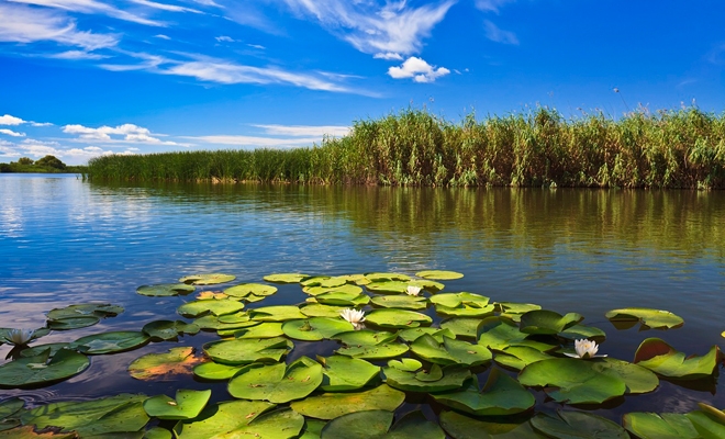 Delta Dunării, a cincea minune naturală a lumii, potrivit Instagram