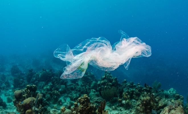 Ministrul Mediului: Regiunea Mării Negre este afectată în special de poluarea cauzată de plastic şi microplastic