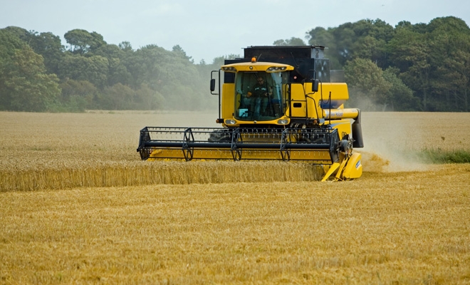 Agricultura va avea cea mai mare scădere a valorii adăugate în PIB din ultimii cinci ani