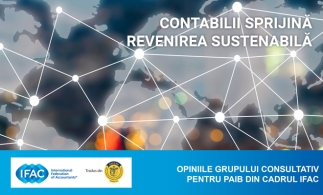 Document IFAC: Contabilii sprijină revenirea sustenabilă