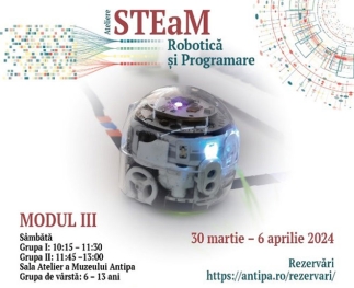 Ateliere STEaM de Robotică și Programare