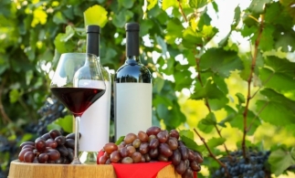 Franța se așteaptă la o scădere cu 18% a producției de vin în 2024