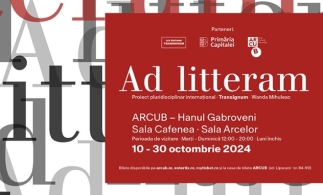 Din 10 octombrie, la ARCUB, expoziția „Ad litteram” – Wanda Mihuleac | Proiect pluridisciplinar multilingvistic internațional