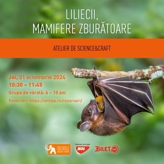 Muzeul Antipa | Ateliere de science&craft – „Liliecii, mamifere zburătoare”