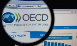 OECD are o foaie de drum pentru revizuirea regulilor fiscale internaționale