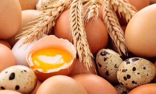 CE va introduce tarife vamale pentru ouăle importate din Ucraina