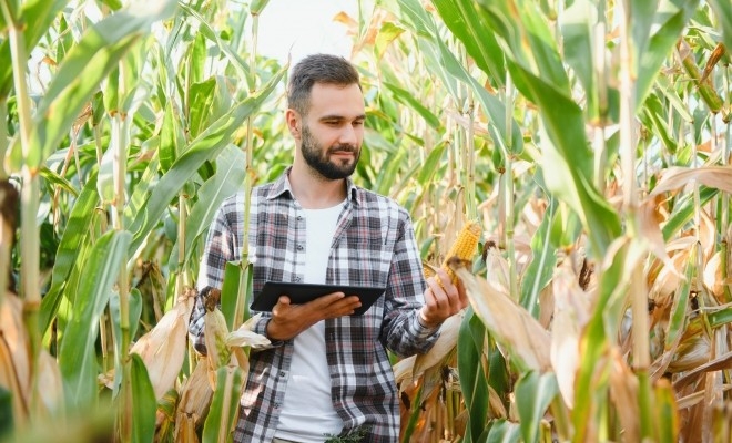 APIA: Tinerii fermieri trebuie să depună documentele privind competențele în domeniul agricol/agronomic până la sfârșitul lunii